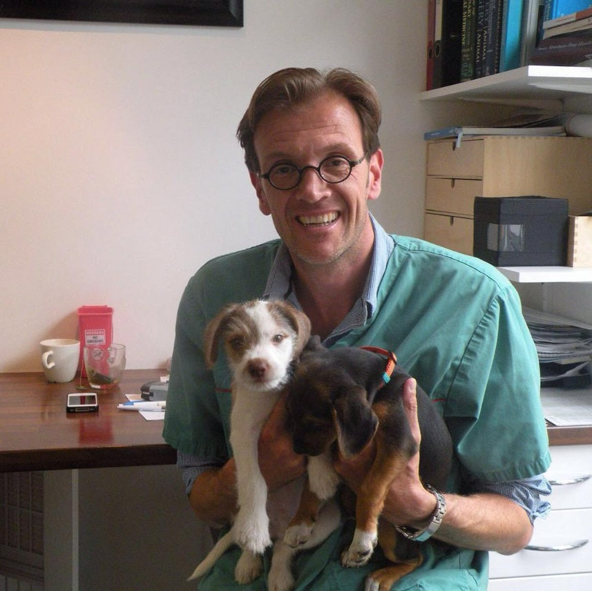 Dierenarts Peter Bracht met puppy's