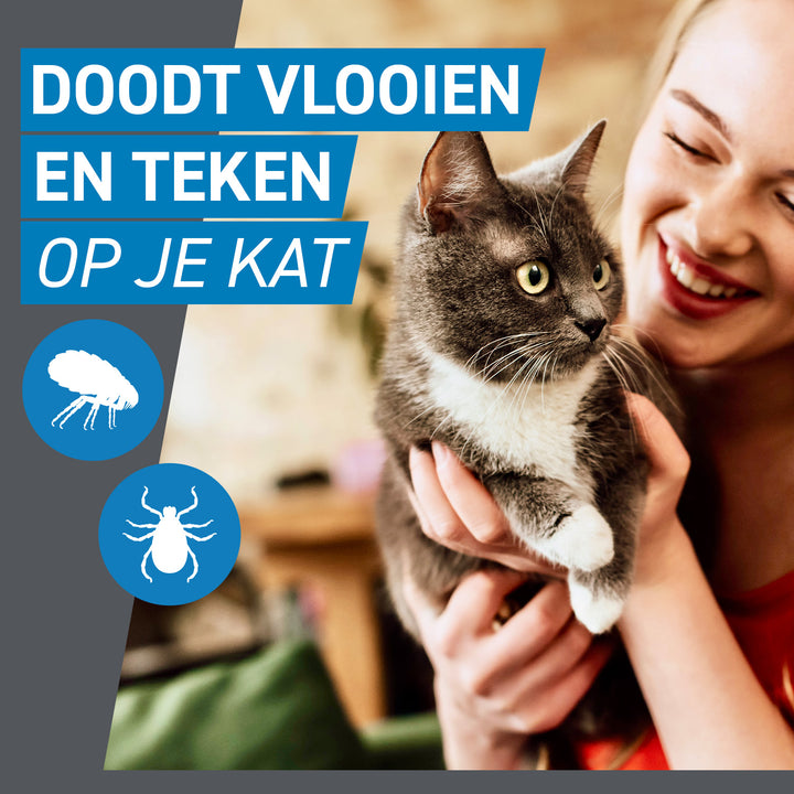 Frontline Spot On doodt vlooien en teken op je kat