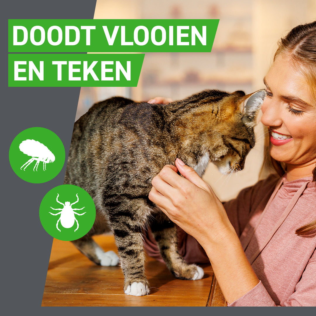 Frontline Combo doodt vlooien en teken