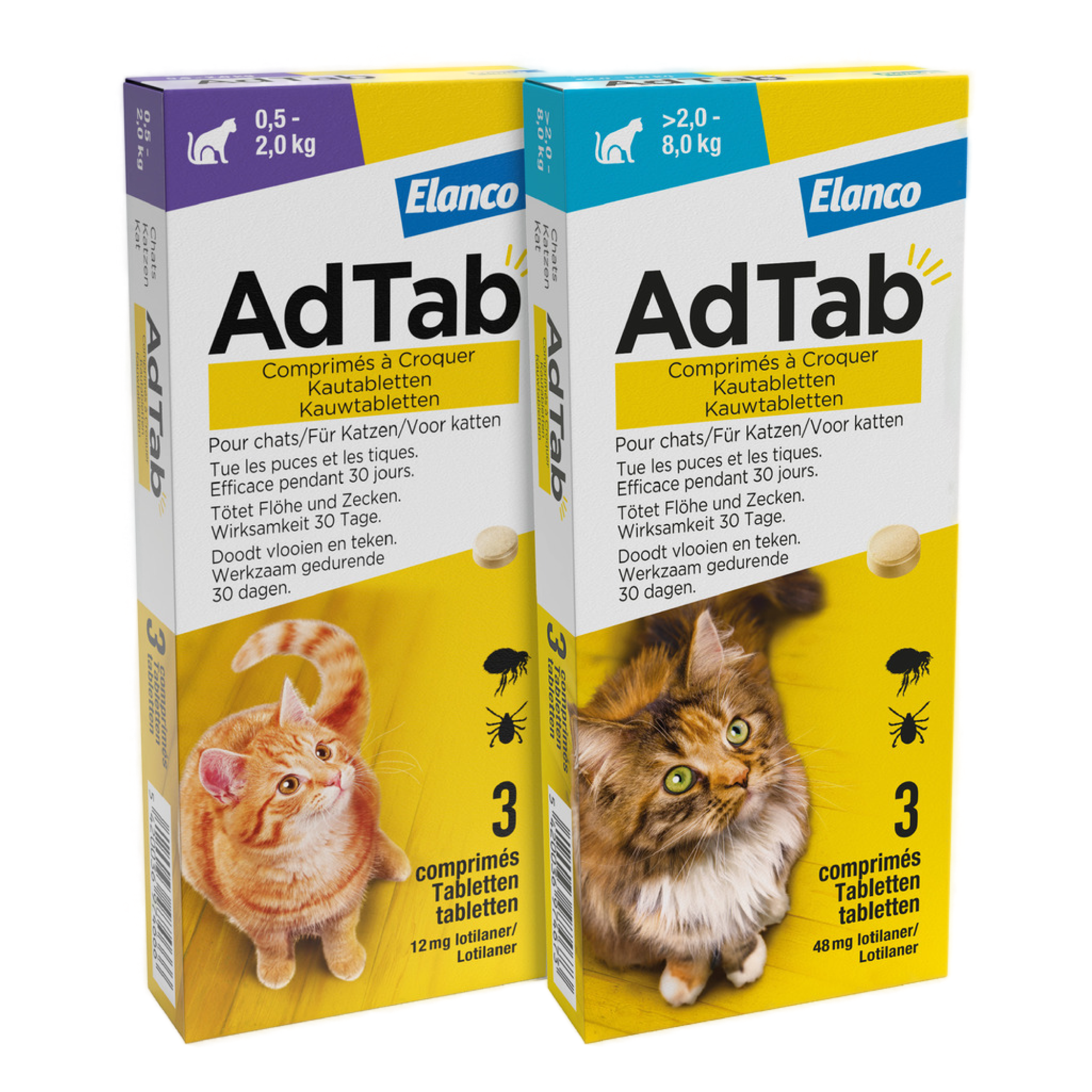Katzenbedarf