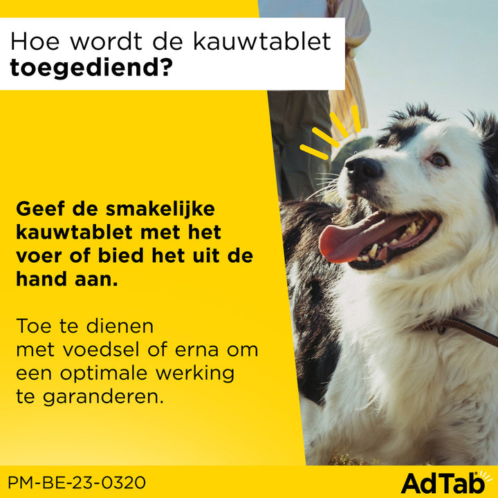 AdTab hond geef je als snoepje of tussen het voer