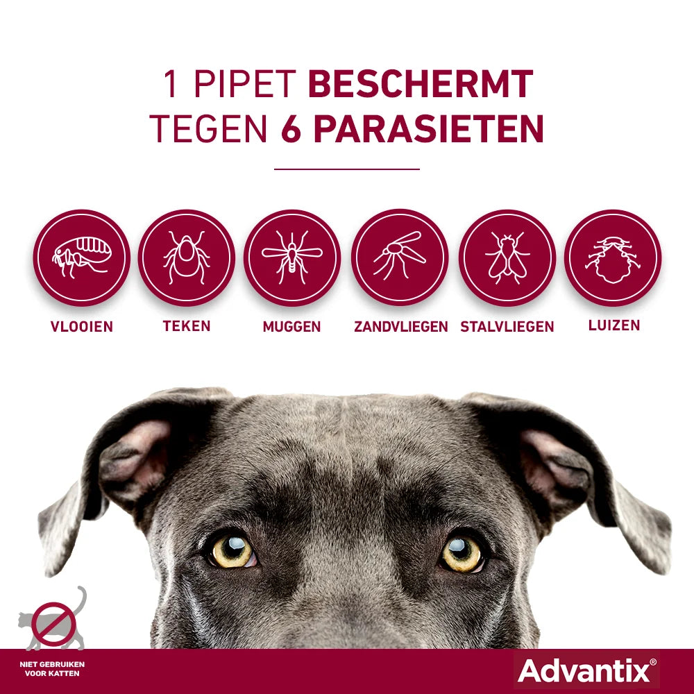 Advantix beschermt tegen 6 parasieten