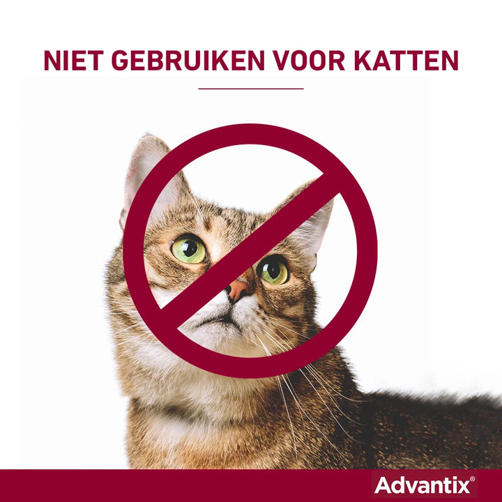 Advantix niet voor Katten