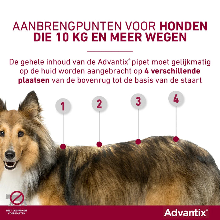 Advantix pipet aanbrengen grote honden