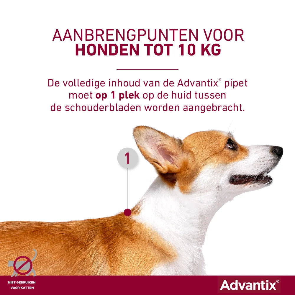 Advantix pipet aanbrengen kleine honden