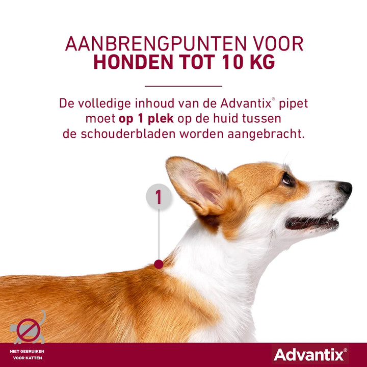 Advantix pipet aanbrengen kleine honden