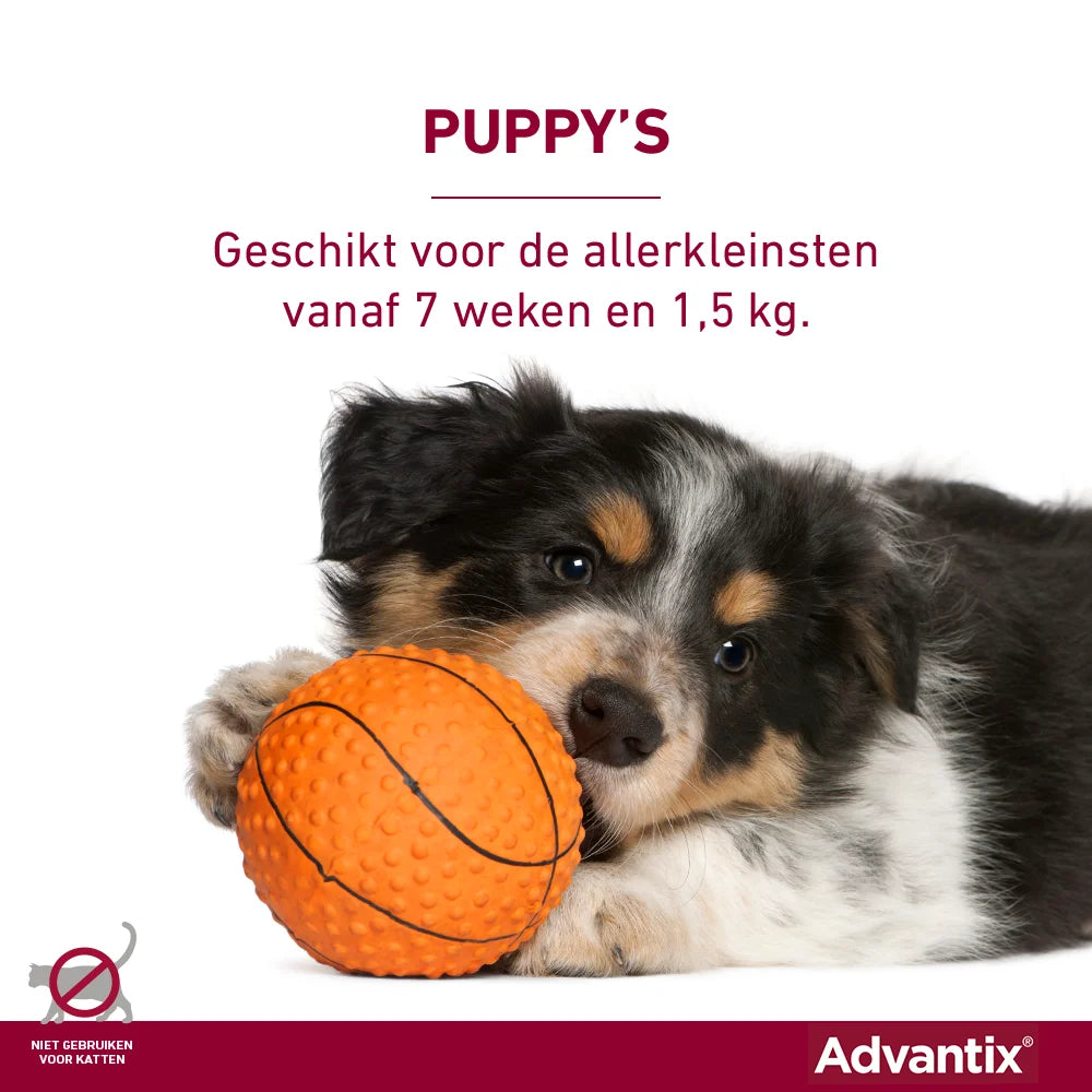 Advantix ook voor Puppies