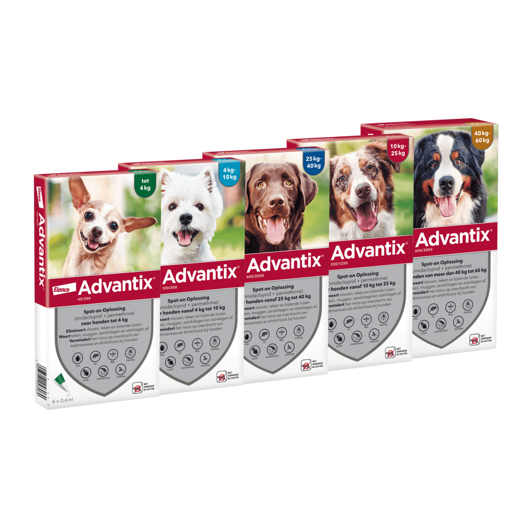 Advantix Hond - Anti Vlooien- en Tekendruppels