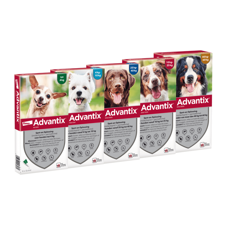 Advantix Hond - Anti Vlooien- en Tekendruppels