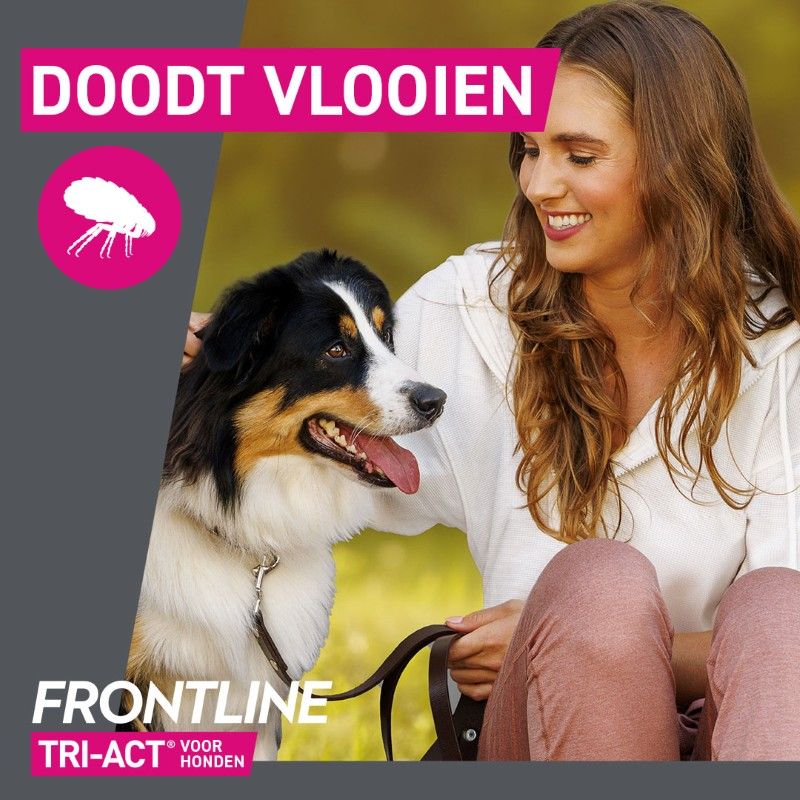 Frontline Tri-Act voor honden doodt vlooien