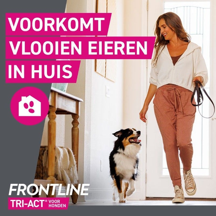 Frontline Tri-Act voorkomt vlooieneitjes in huis