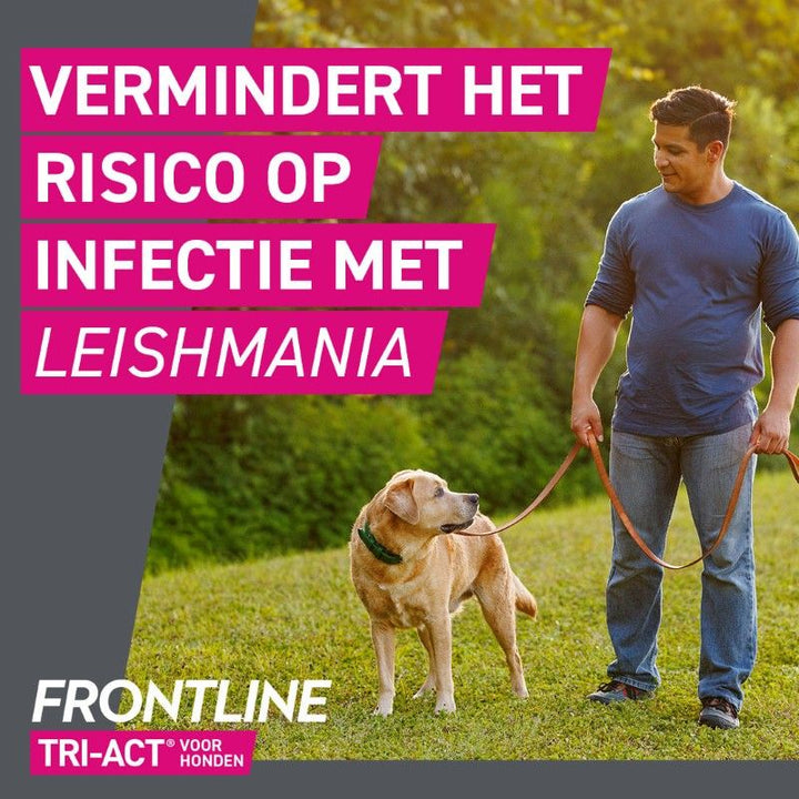 Frontline Tri-Act voor honden vermindert het risico op Leishmania infectie