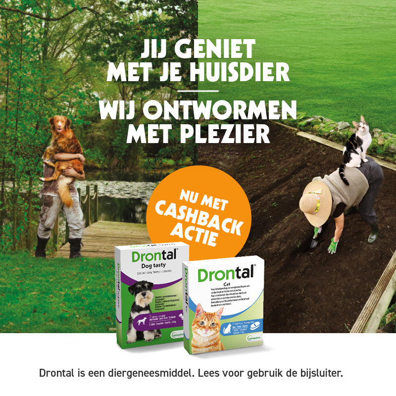 Drontal Cashback actie