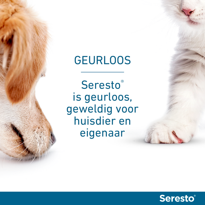 Seresto is geurloos