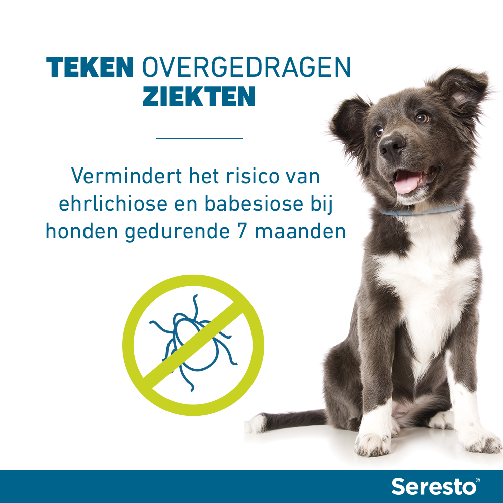 Seresto voorkomt ziekten