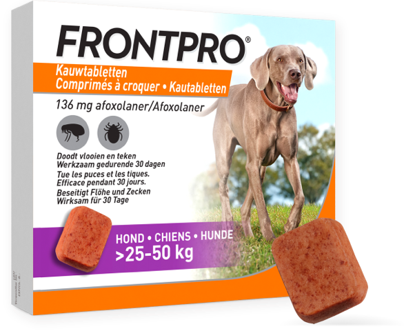 Frontpro Ontworming Hond 25 tot 50 kg