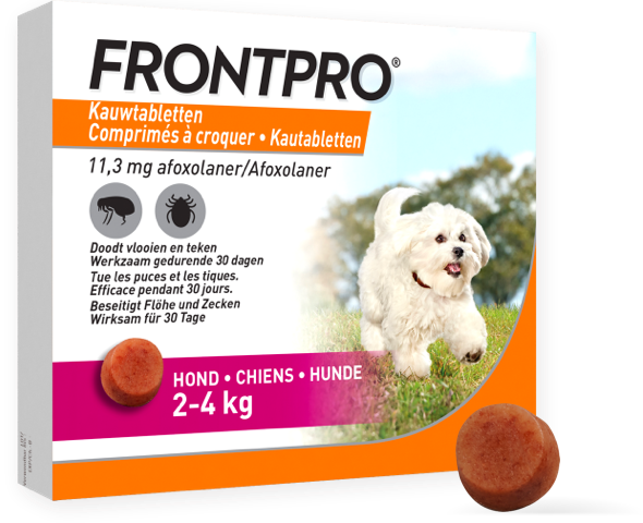 Frontpro Ontworming Hond 2 tot 4 kg