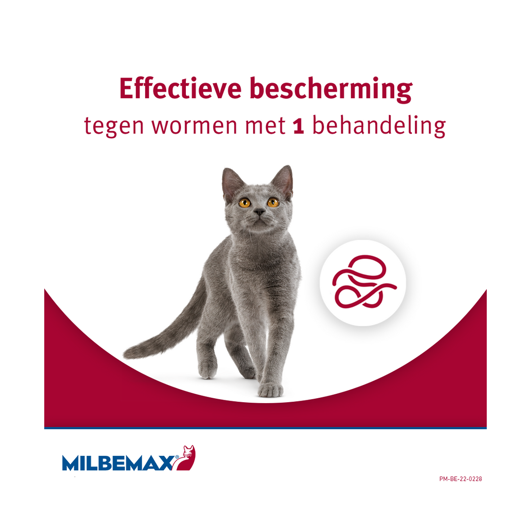 Milbemax Kat bescherming tegen alle wormen
