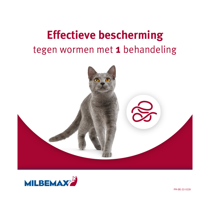 Milbemax Kat bescherming tegen alle wormen