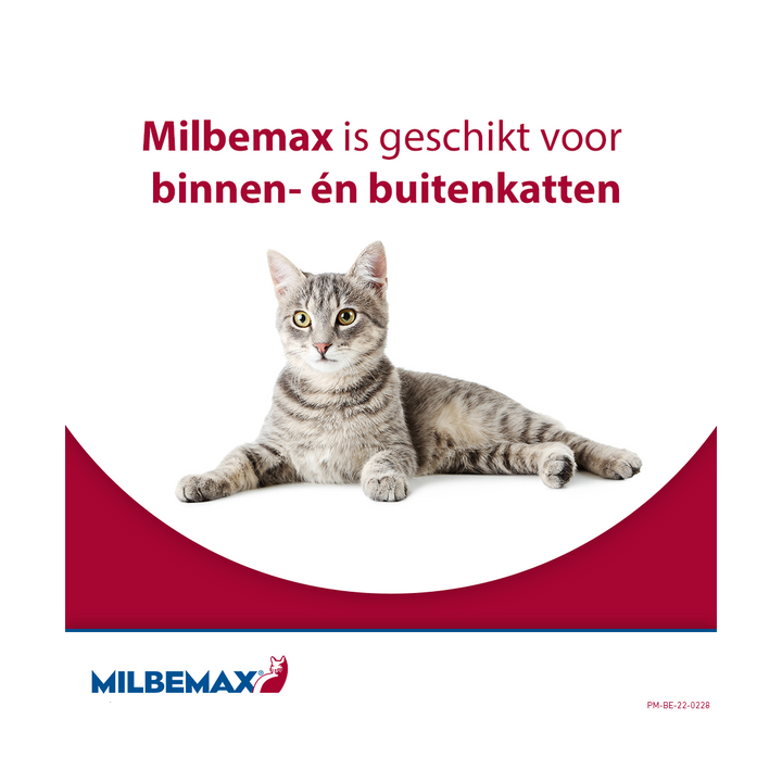 Milbemax Kat ontwormen voor binnenkatten en buitenkatten