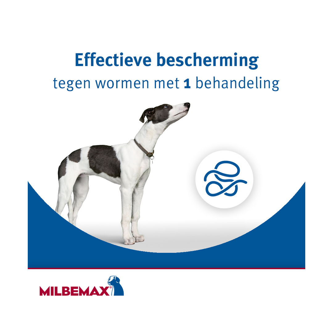 Milbemax Kauwtablet bescherming tegen wormen in 1 behandeling