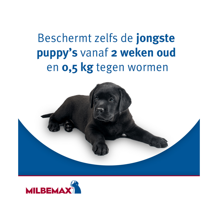 Milbemax Kauwtablet voor puppy's vanaf 2 weken