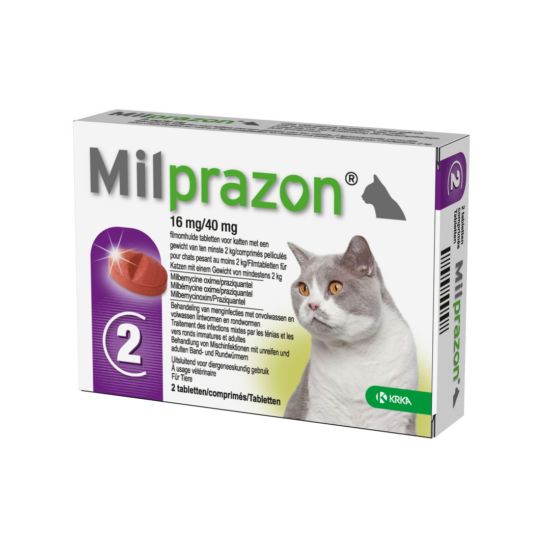 Milprazon Grote Kat 4/10 mg 2 tabletten